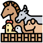 Корма